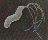 �s������